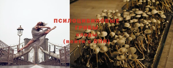 mdpv Армянск