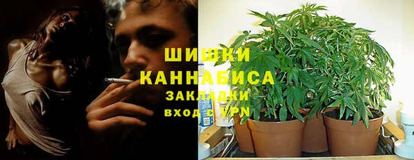 тгк Аркадак